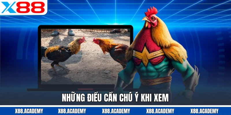 Những điều cần chú ý khi xem