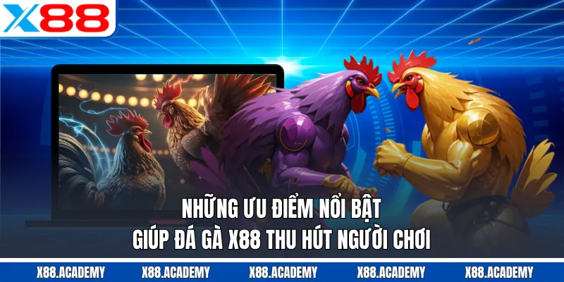 Những ưu điểm nổi bật giúp đá gà X88 thu hút người chơi